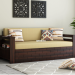Traditional and Contemporary Sofa Cum Bed Design to Elevate Your Space