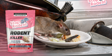 Protect your home from harmful rodent intrusions